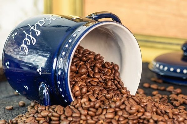 Découverte des Meilleurs Cafés en Grains Bio : Un Voyage pour vos Papilles