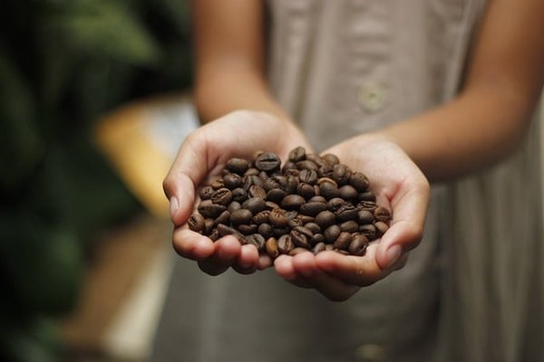 Découverte du Ethiquable Café Grains Honduras : Un Voyage Équitable et Bio dans Votre Tasse