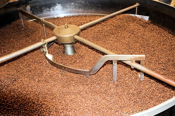 Maîtriser l'Art de la Torréfaction : Lancez votre Formation en Torréfaction de Café